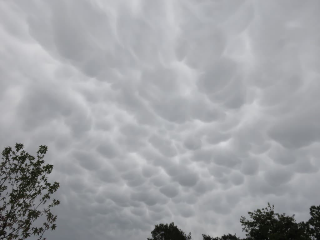 Mamatus en Ile de France
