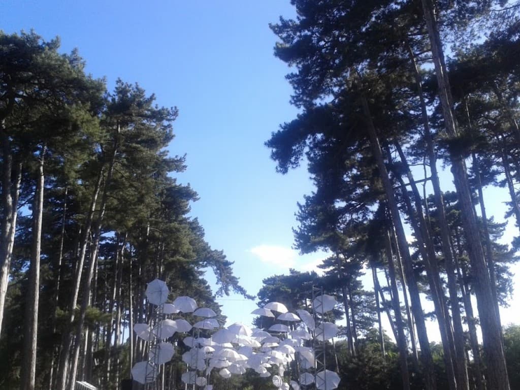parapluie blanc et ciel bleu