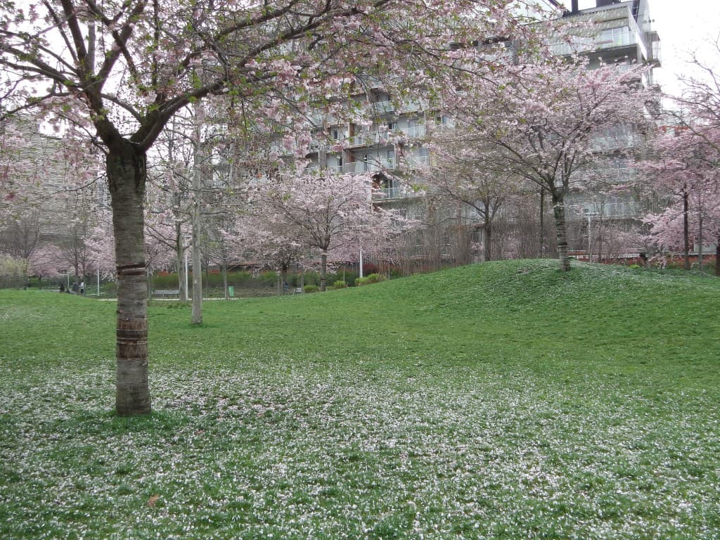 Parc Clichy Batignolles