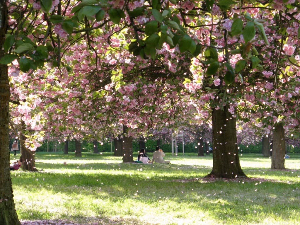 Parc Sceaux