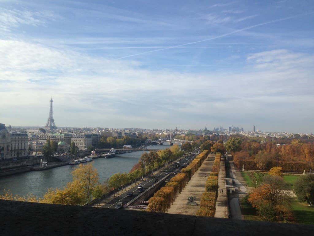 Paris vu du Louvre