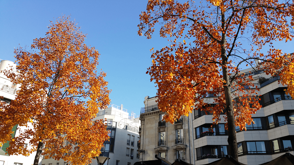 Pas un nuage en ce jour d'automne !