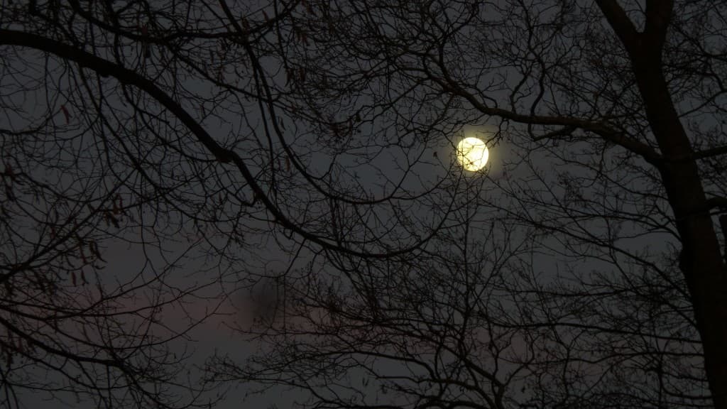 Pleine lune (ou presque..)