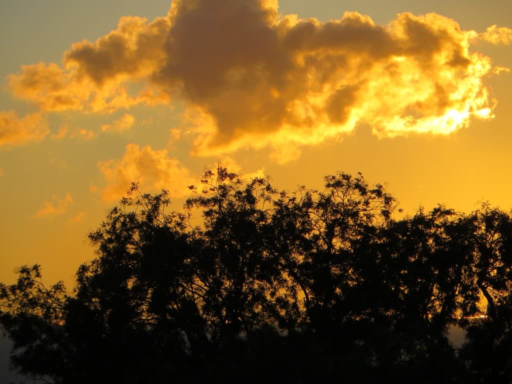 soleil du soir
