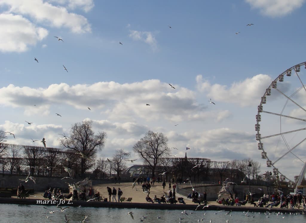 Très belle journée aux Tuileries (MJL)