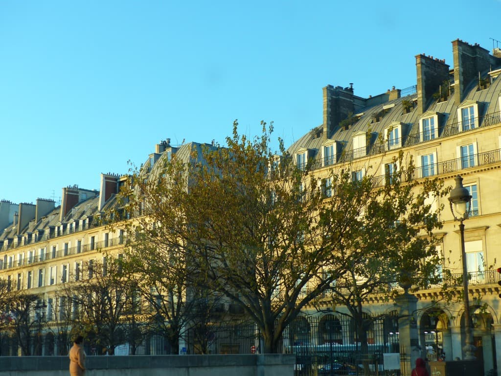 Beau soleil fin de journée 
