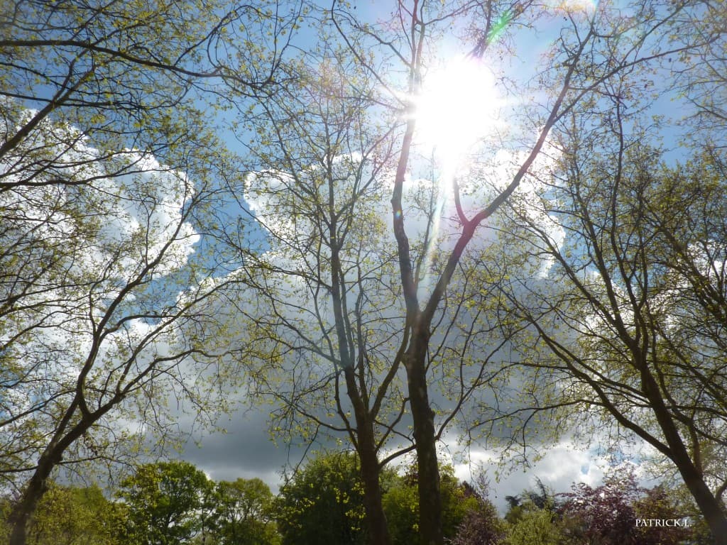 belle matinée de printemps