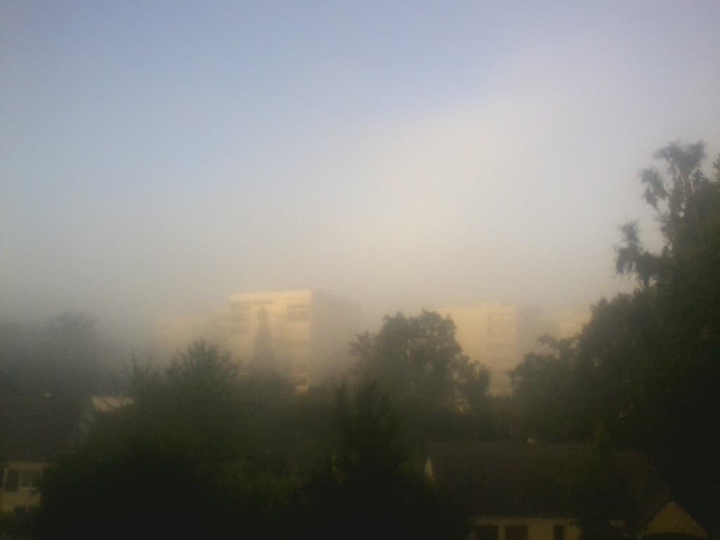 Brouillard matinal