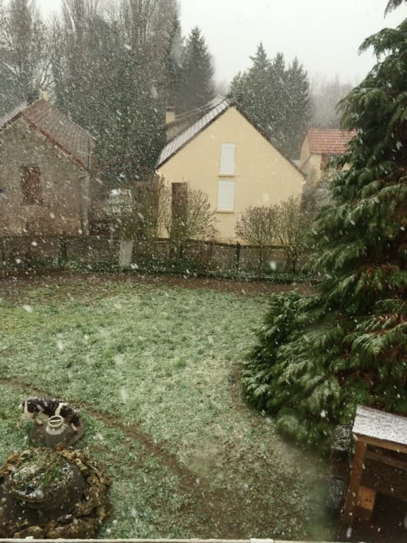 Brutale averse de neige ! 