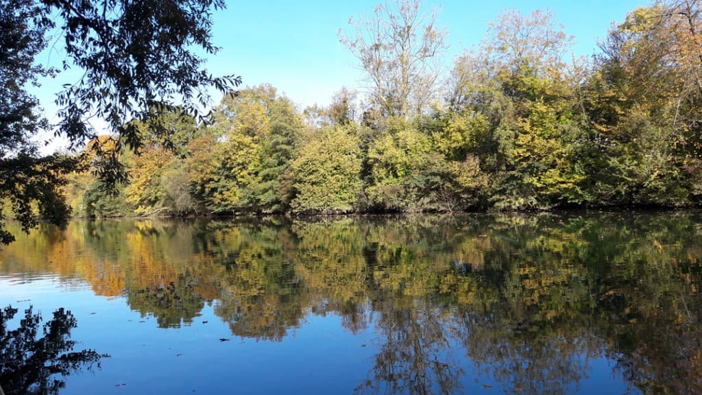 C'est beau l'automne