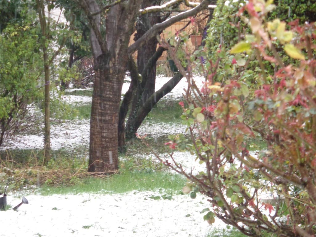 Ce matin neige à Suresnes