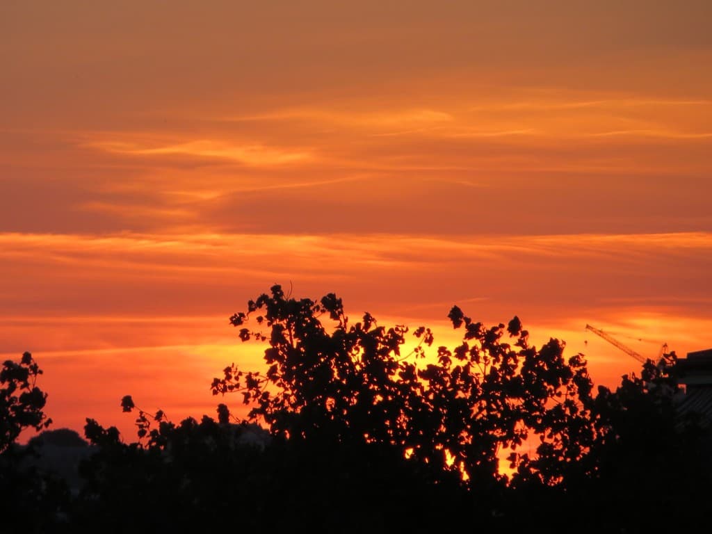 ciel en flamme    (marion)  