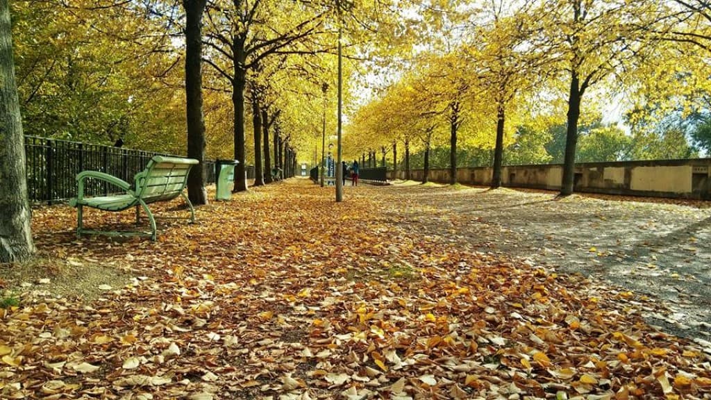 Comme un air d'Automne...
