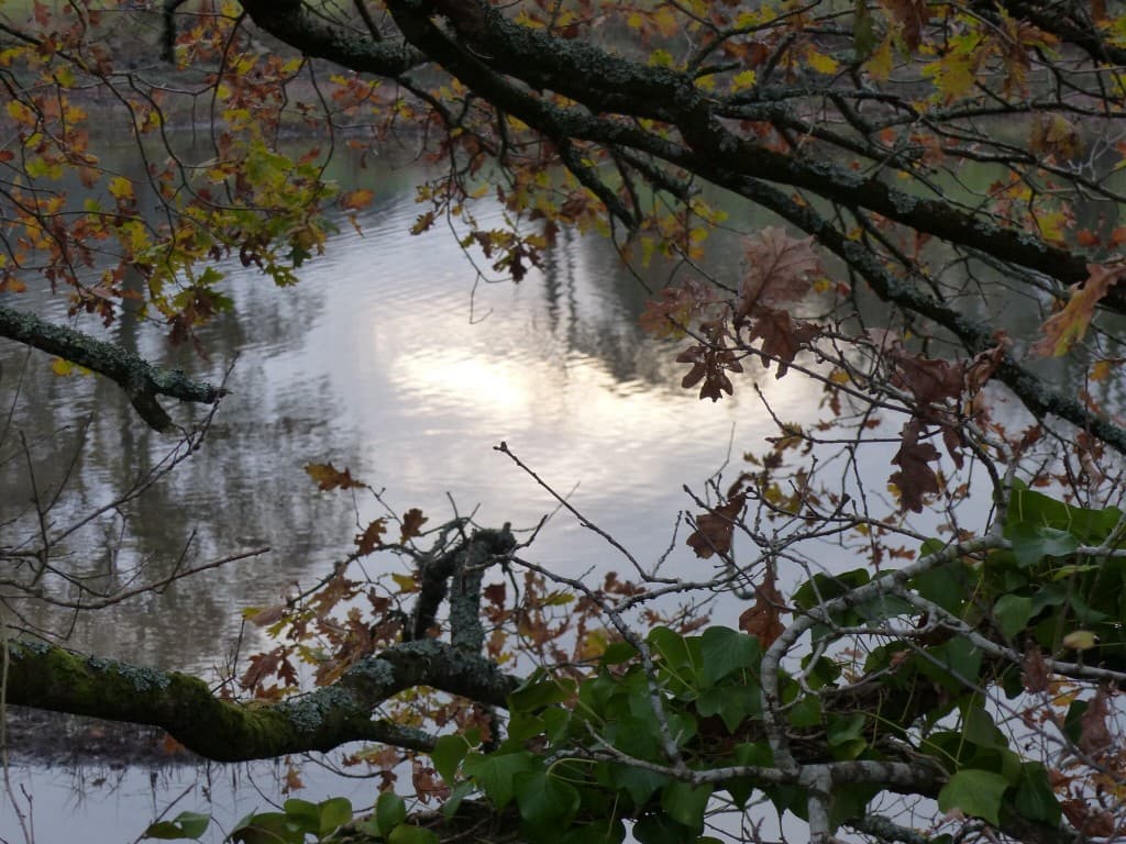 Coucher de soleil 