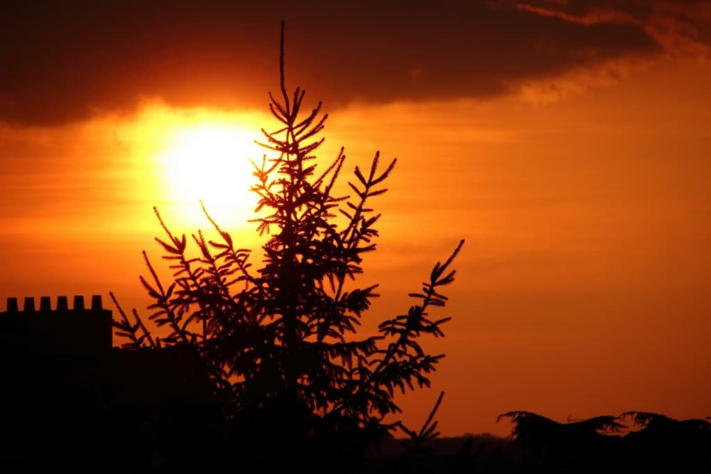 Coucher en feu