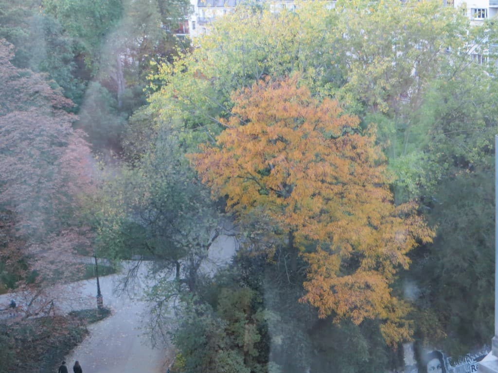 couleur d'automne