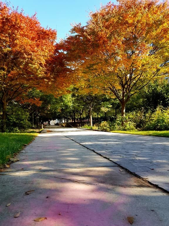couleurs d'automne