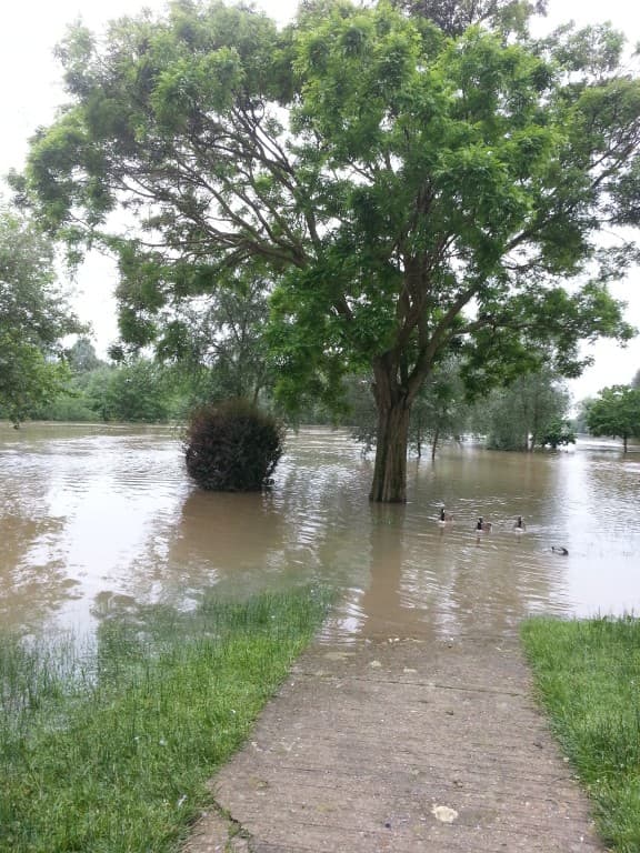 crue de la Marne