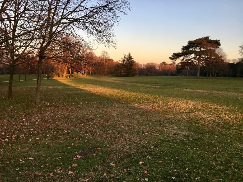 Dernier rayon sur le parc de Bagatelle