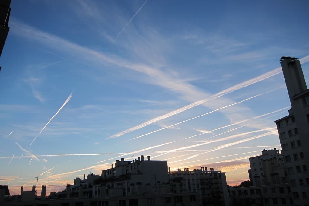 des migrations vers le sud, 7h du matin