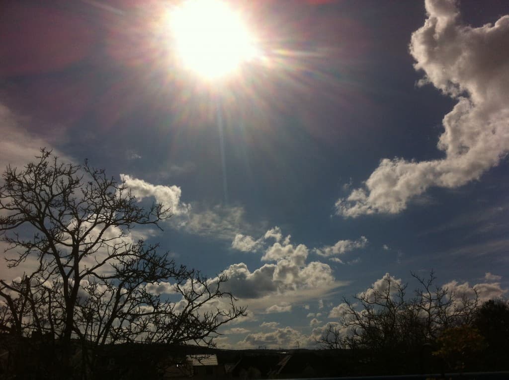 Enfin le printemps