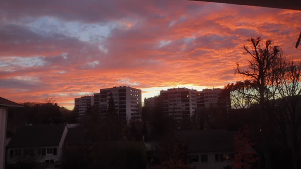 Fin d'après midi