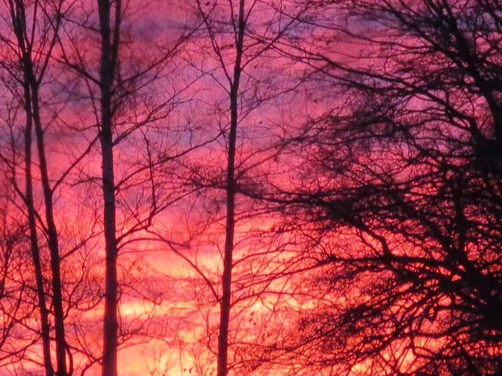 incendie soleil couchant 