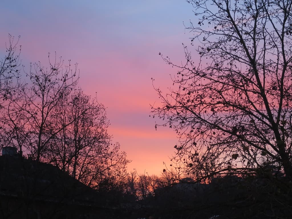 L'aurore aux doigts de rose