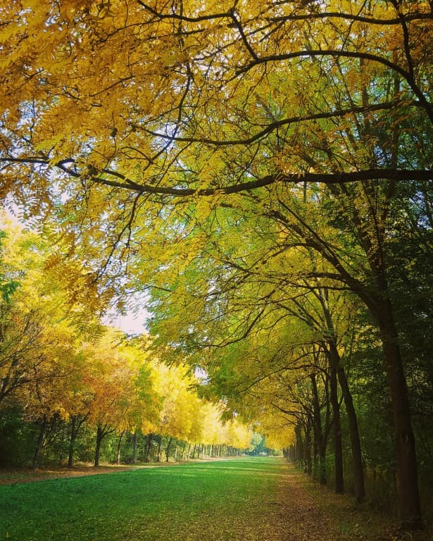 L'automne 