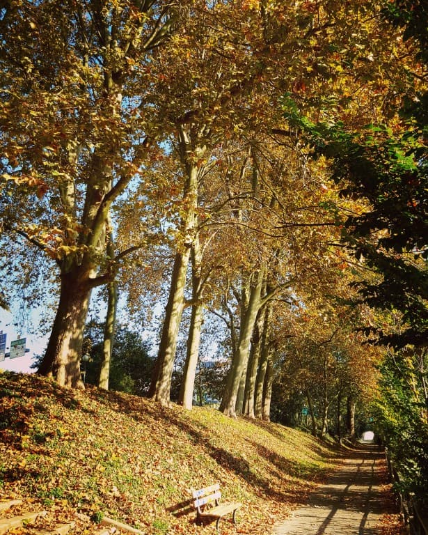 L'automne 