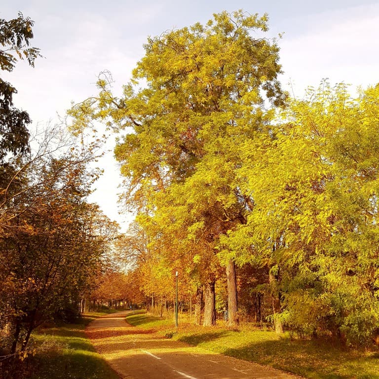 L'automne 