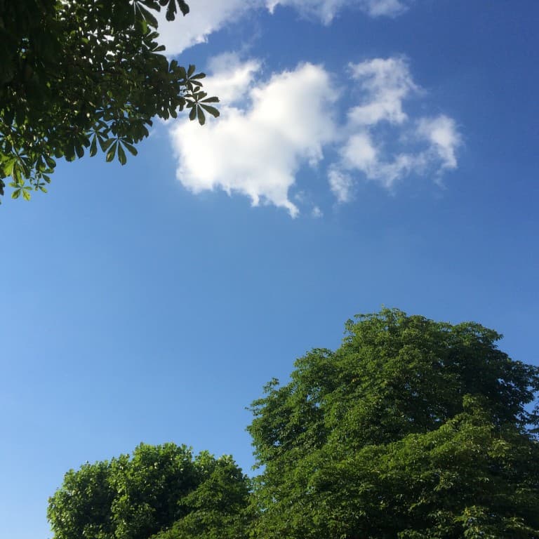 L'été à coeur