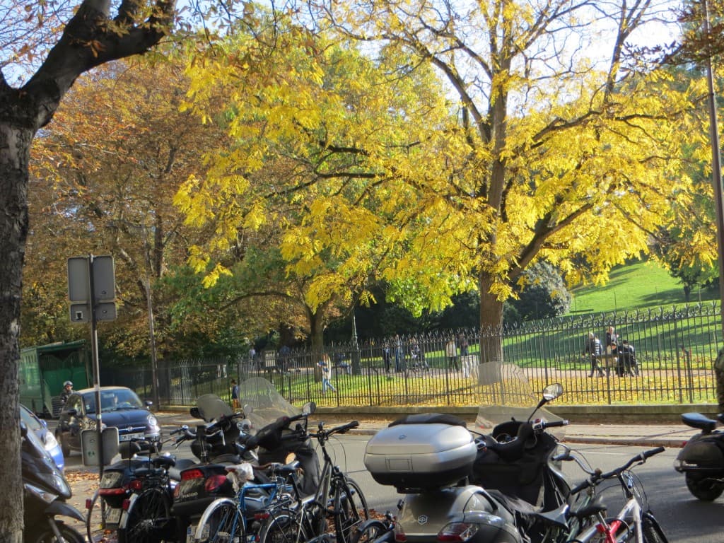 la nature dans la ville 