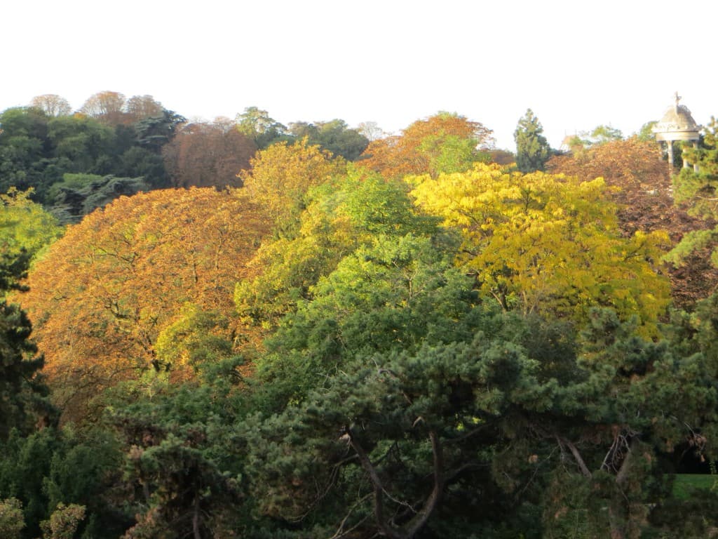 le jour se lève sur les buttes chaumont