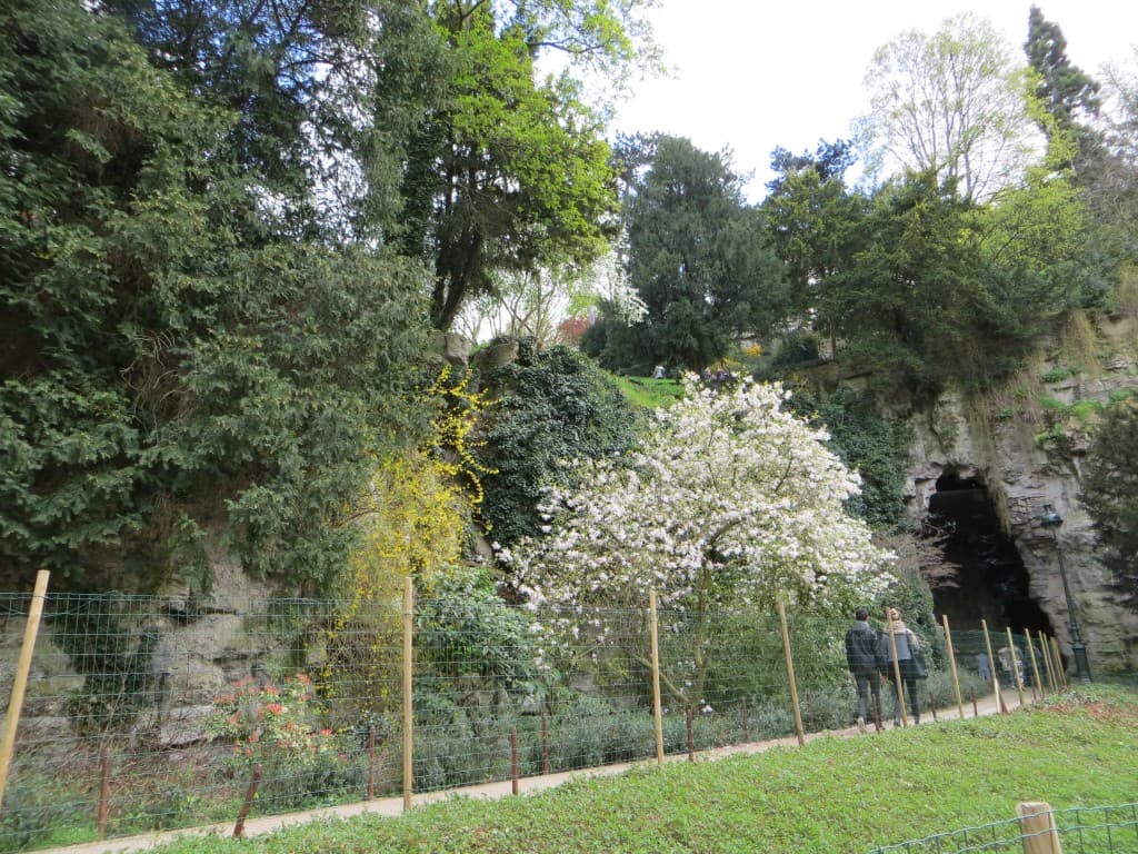 le printemps est arrivé