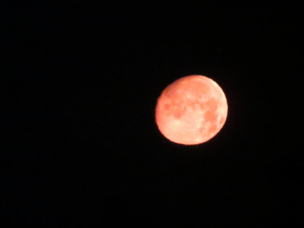 lune rose à 4 heures du matin