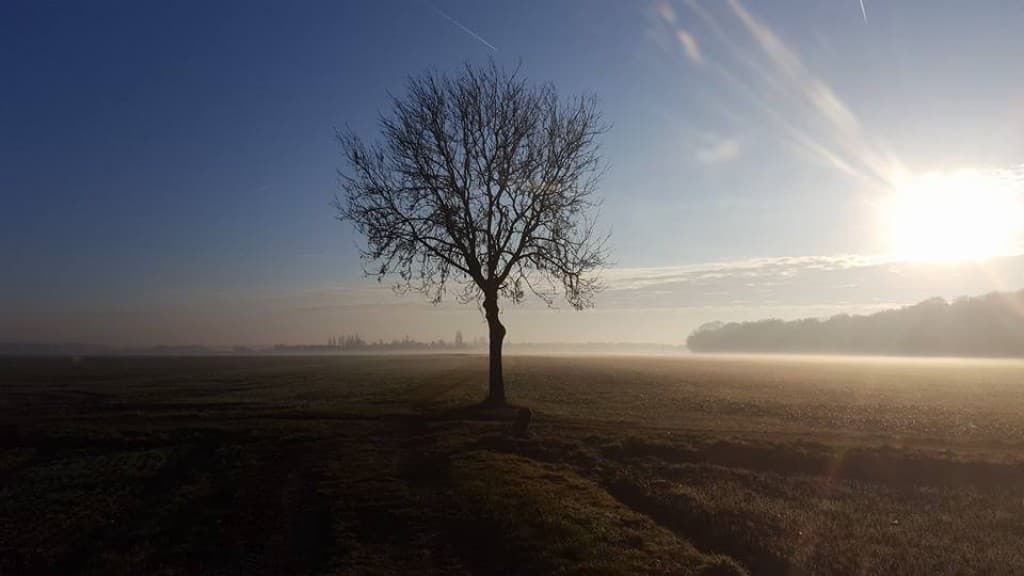 Matin d'hiver en plaine
