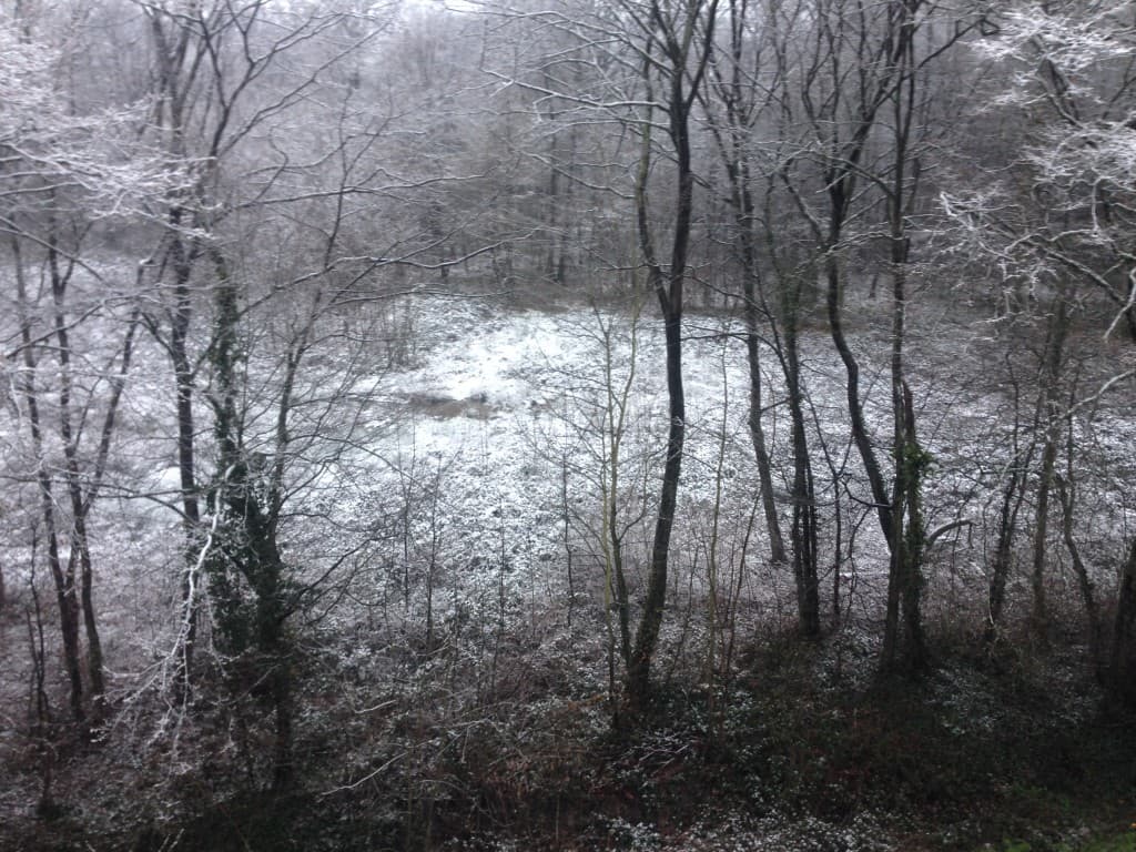 Neige au 92
