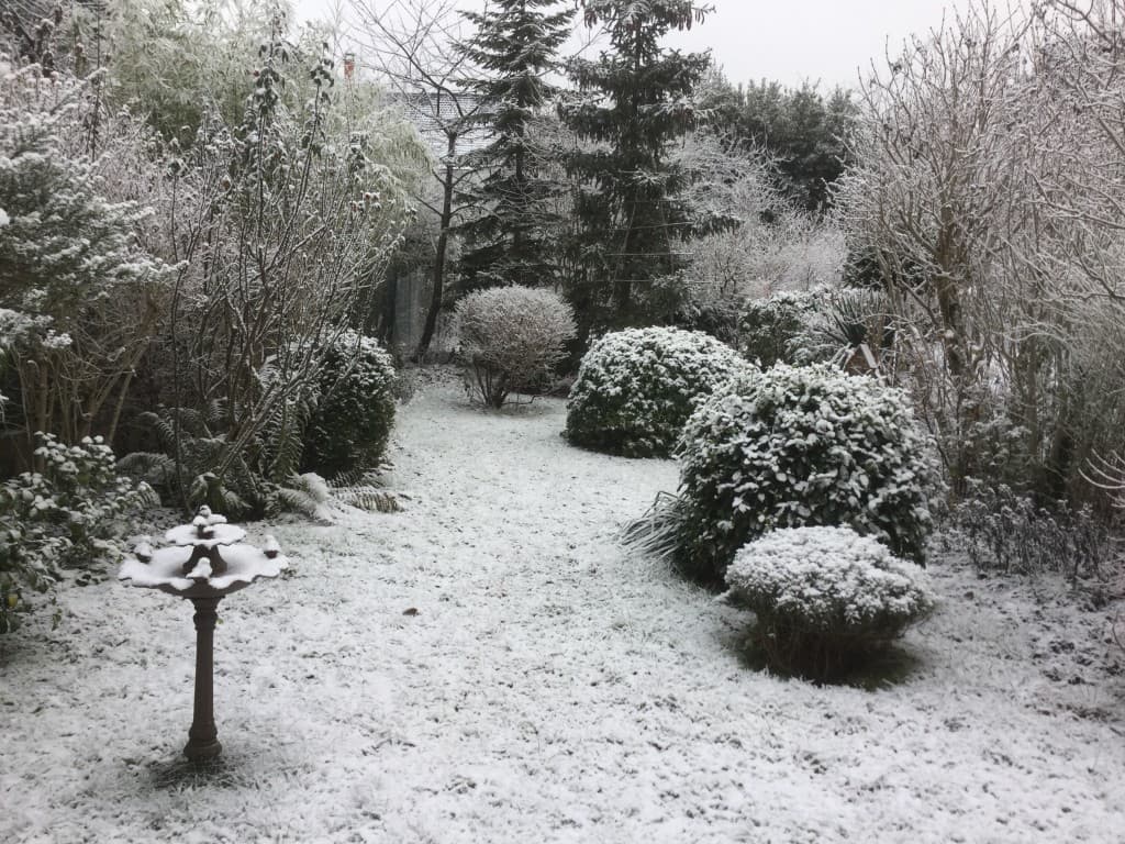 Neige industrielle(?) à Antony
