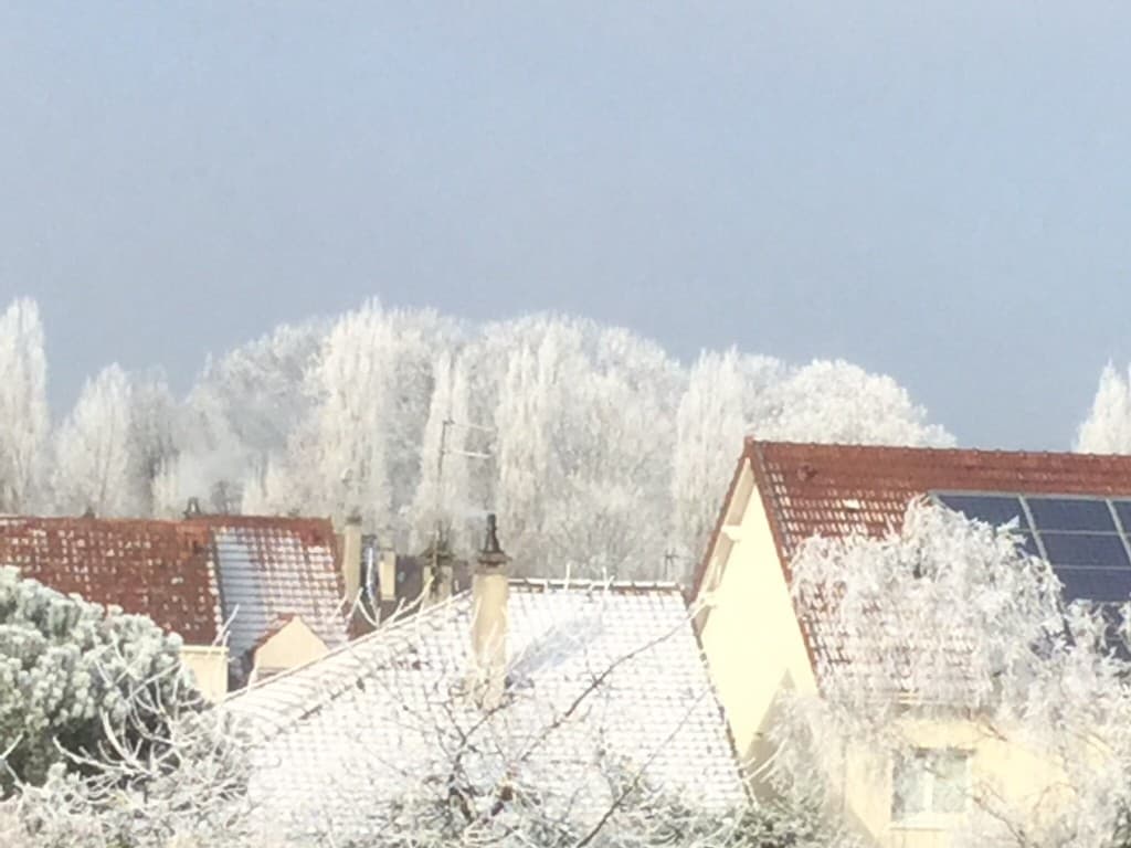 Neige sur les peuplers