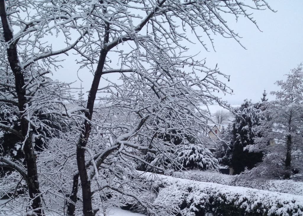 Neige 