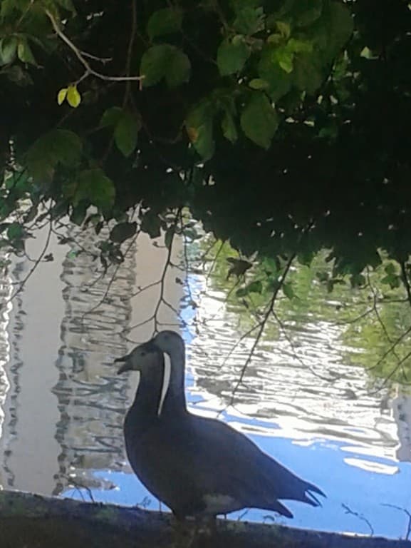 OIE PARC MONTSOURIS