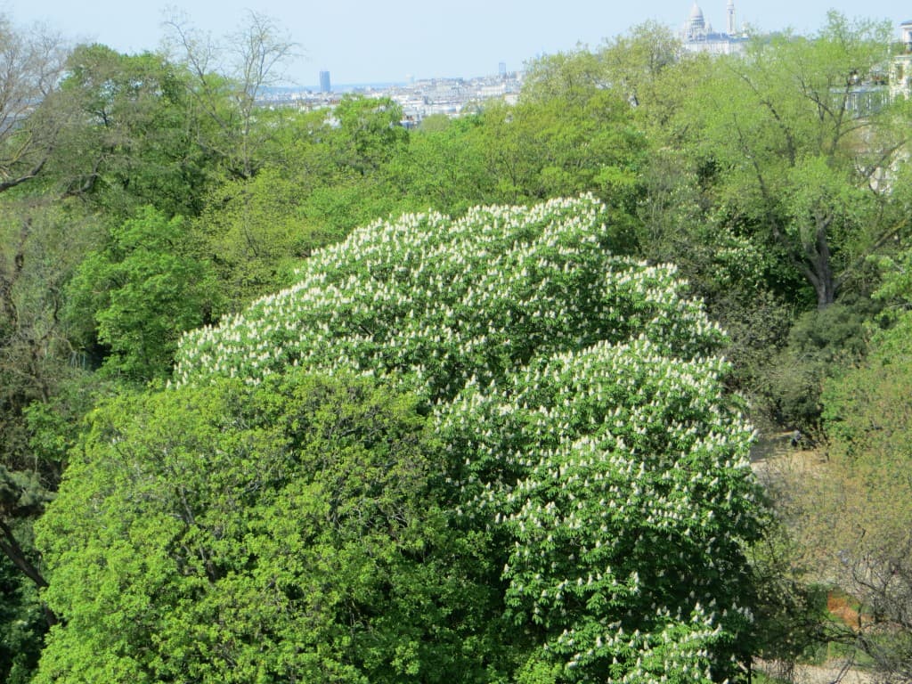 parc des buttes chaumont