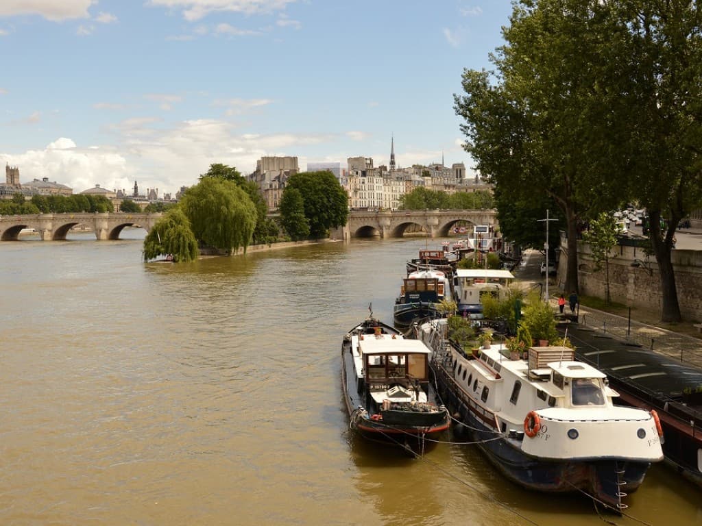 PARIS - VUE DU PONT DES ARTS (MLH)