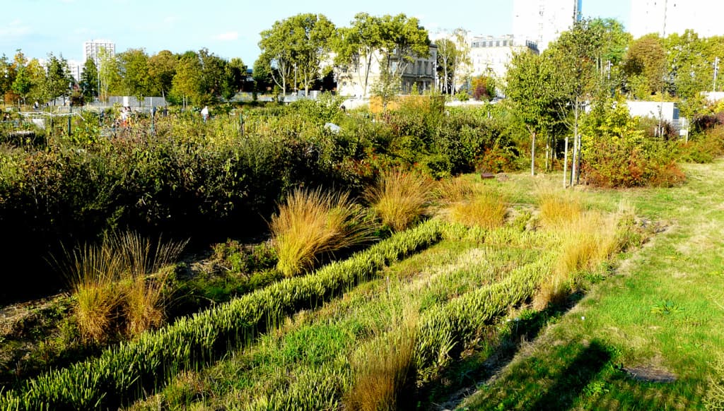 Potager des docks de st Ouen