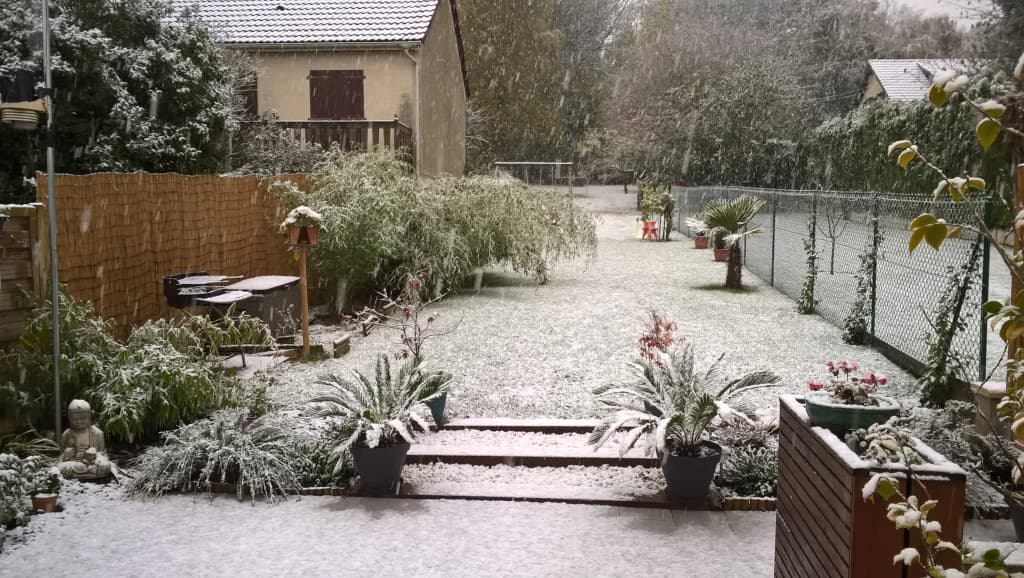Première Neige en Essonne
