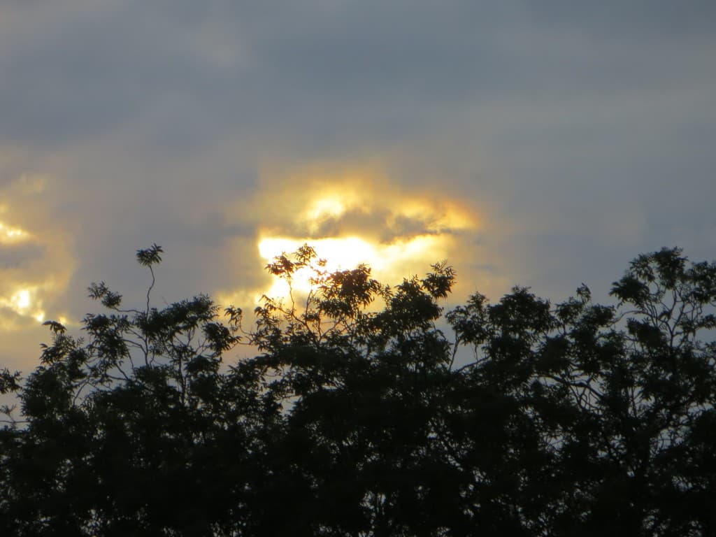 rayon de soleil