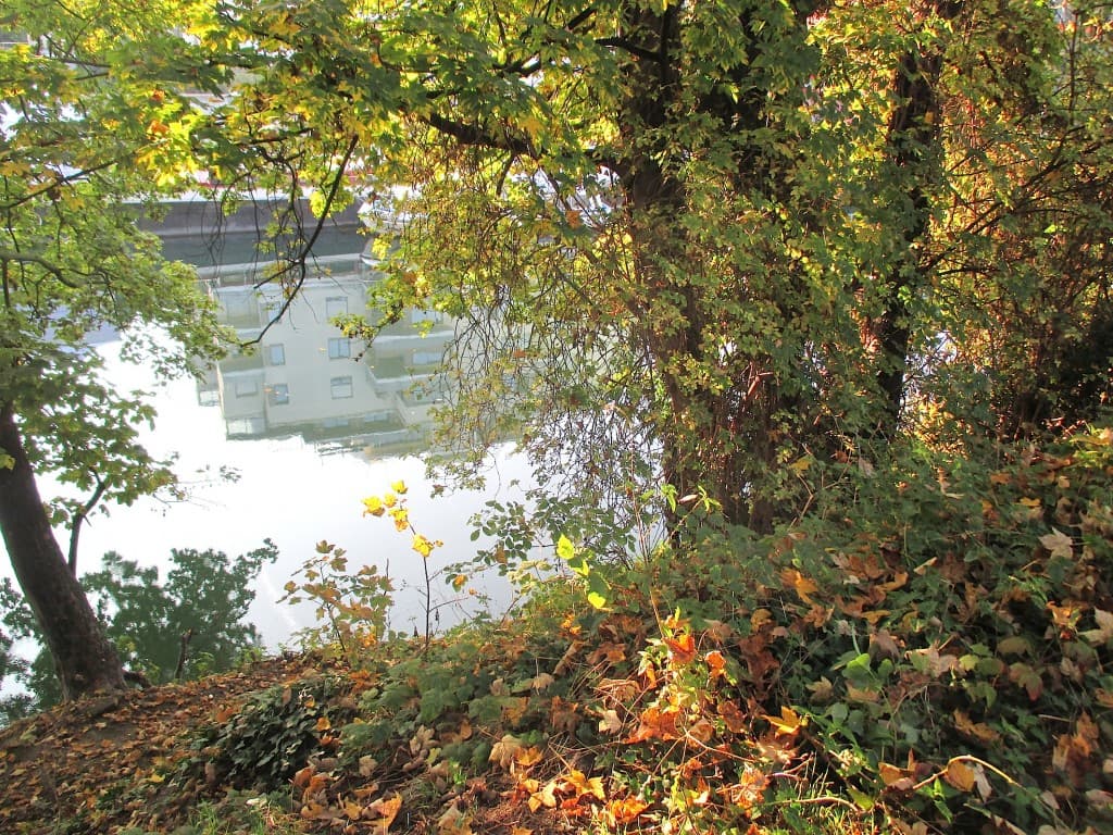 Reflets d'eau et d'automne