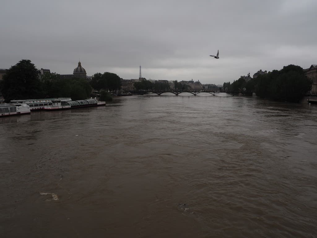 Seine depuis le Pont-Neuf