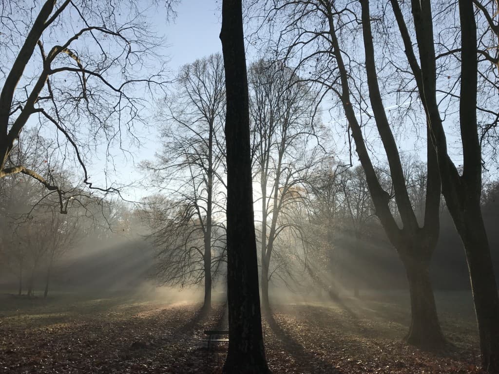 Soleil dans la brume